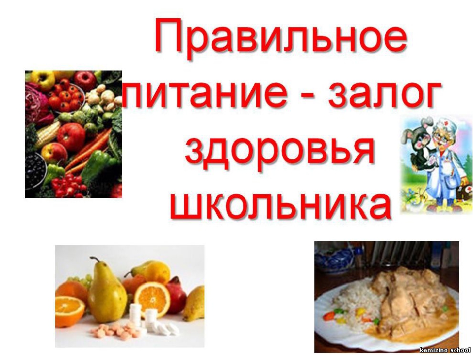 Питание.jpg