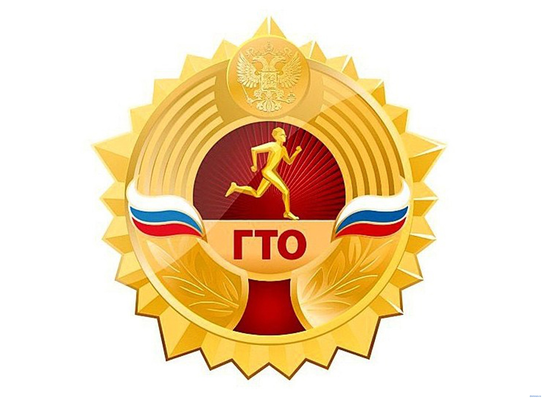 gto(1).jpg