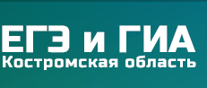 bg-tc-new.png