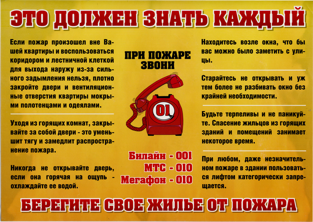 ппп.jpg