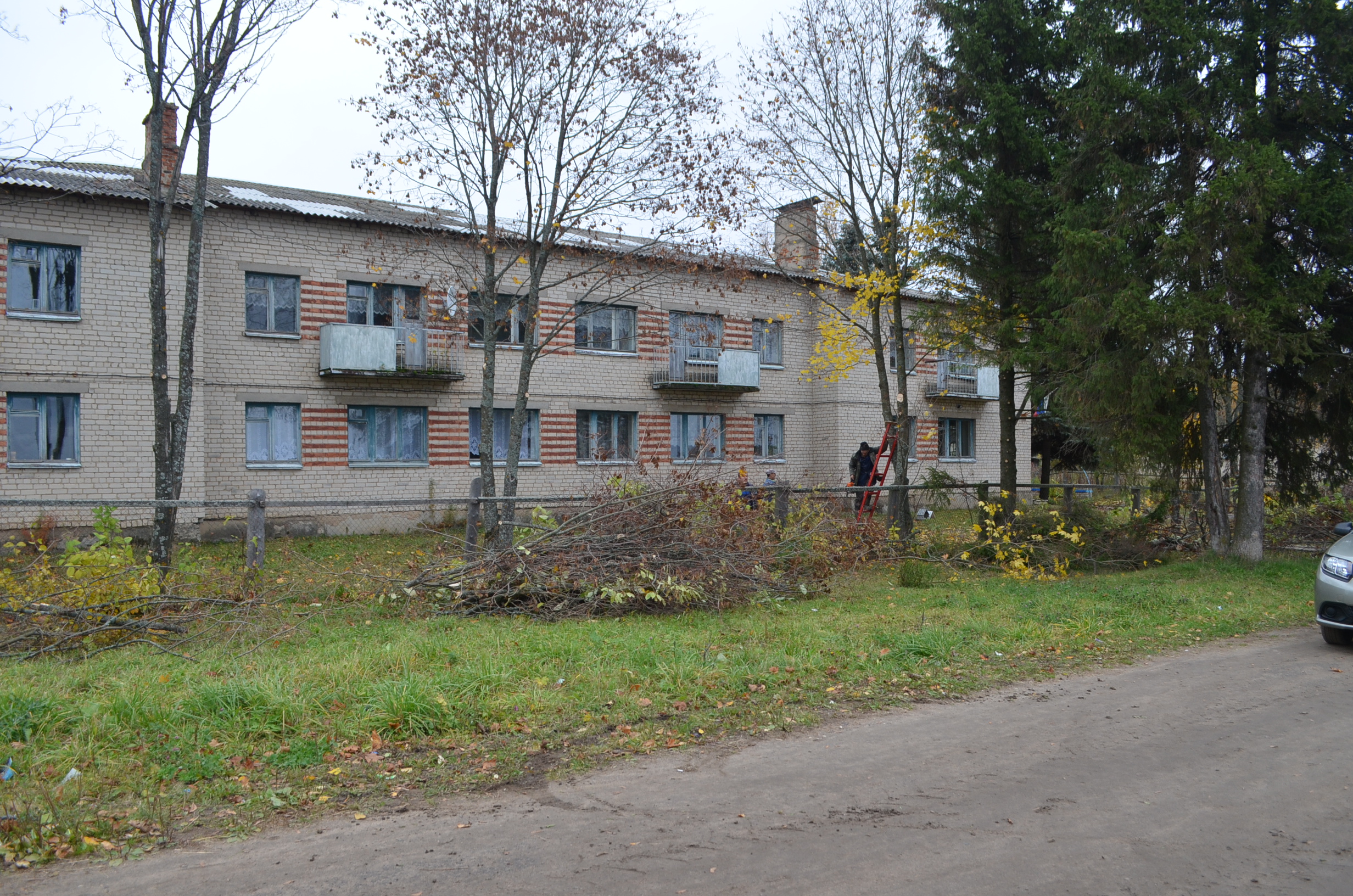 DSC_0930.JPG