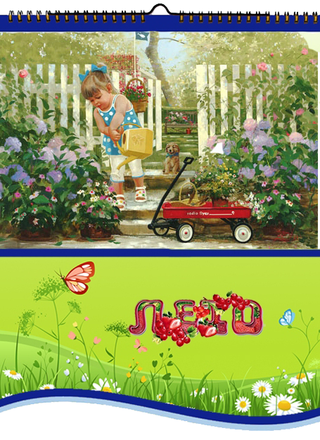лето копия копия.png