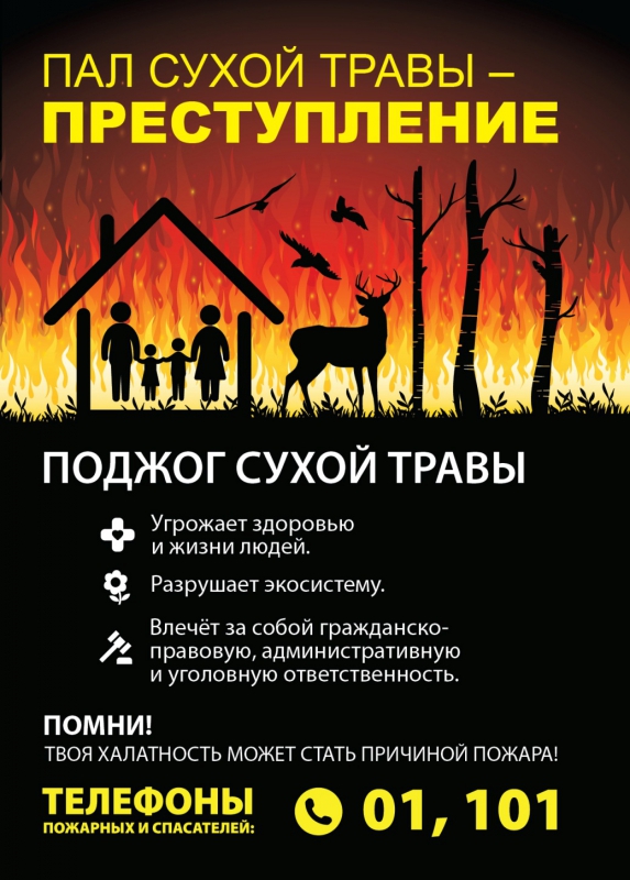 loQveCB9JL14042021.jpg
