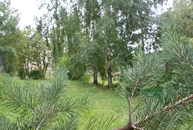 DSC04690.JPG