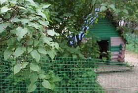 DSC04691.JPG
