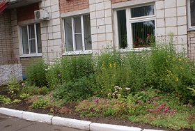 DSC04698.JPG