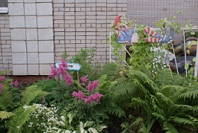 DSC04710.JPG