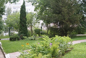 DSC04714.JPG