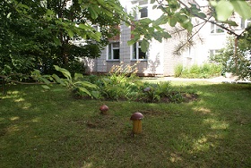 DSC04734.JPG