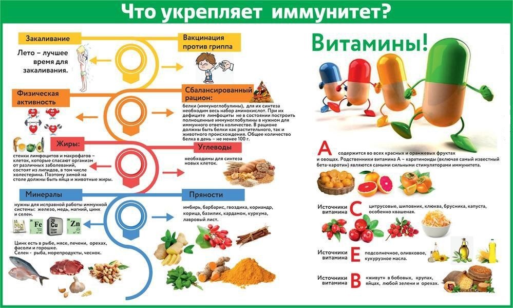 иммунитет.jpeg
