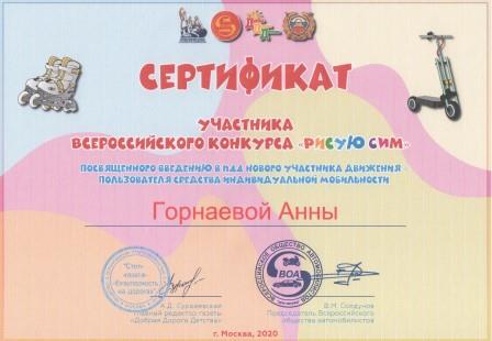 Аня ПДД.jpeg