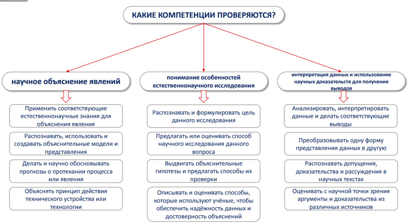 Снимок 2.JPG