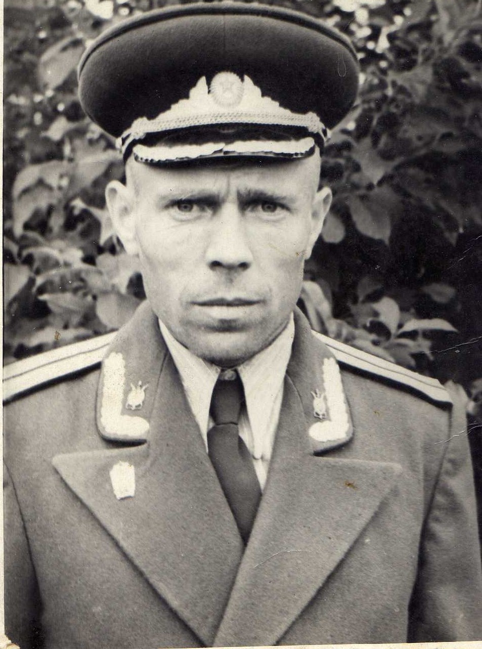 253.jpg