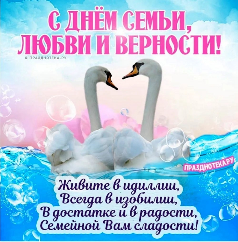 r3yoKHlPeI0.jpg