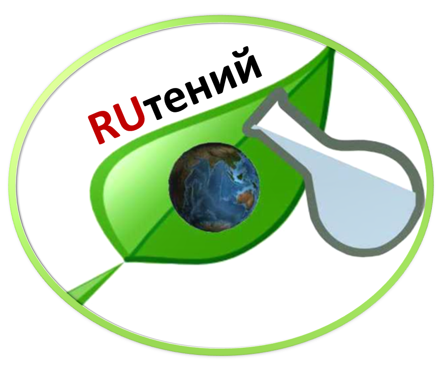 2020-06-11_17-29-29.png