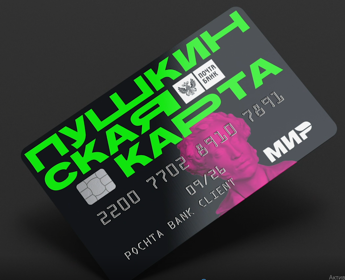 Пушкинская карта (2).png