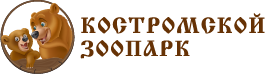 Костромской зоопарк.jpg