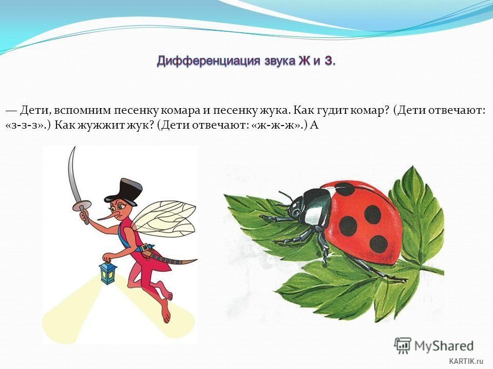 песенка жука.jpg