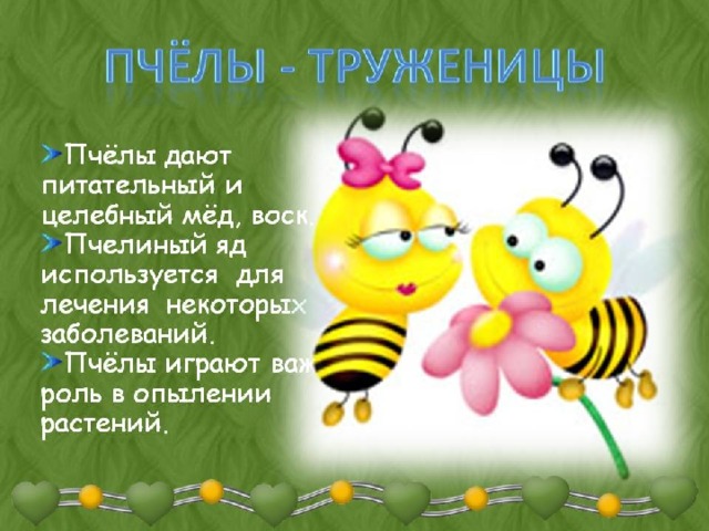 пчелы.jpg