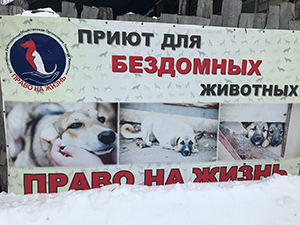image-0-02-05-b1ae10-1.jpg