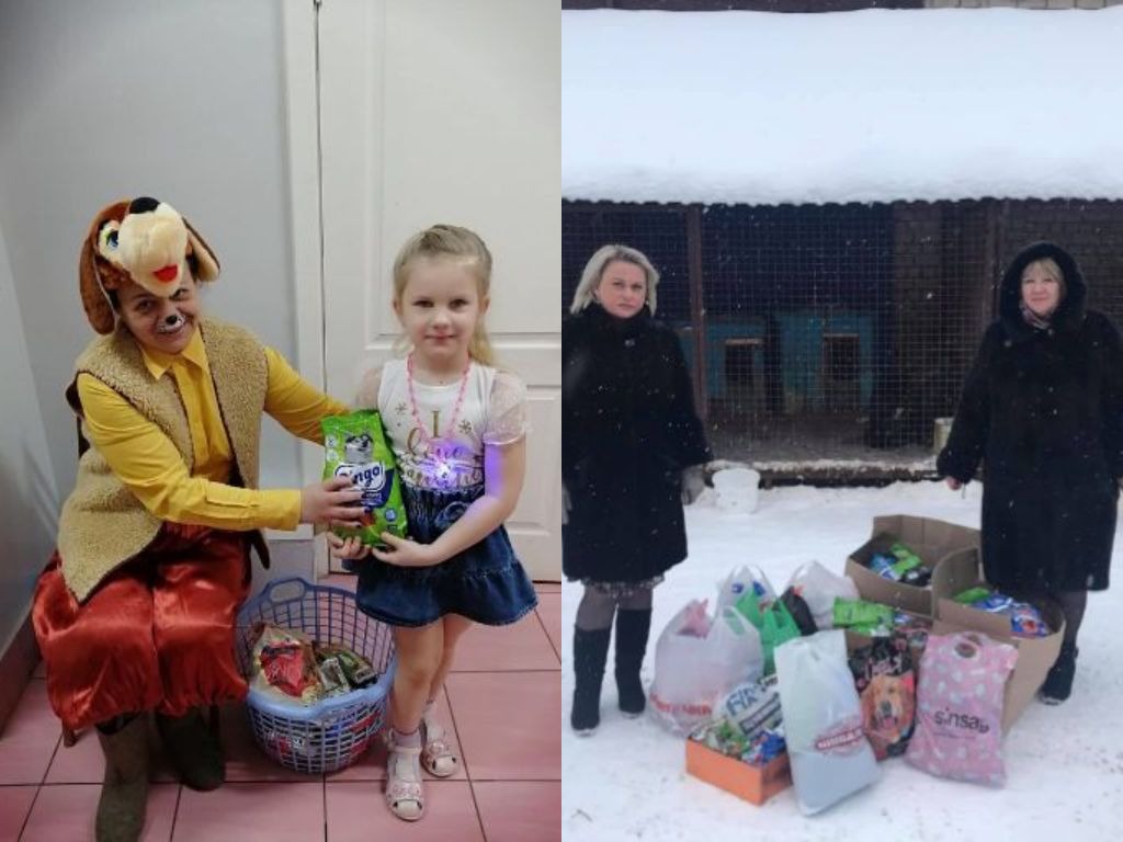 собаки 1.jpg