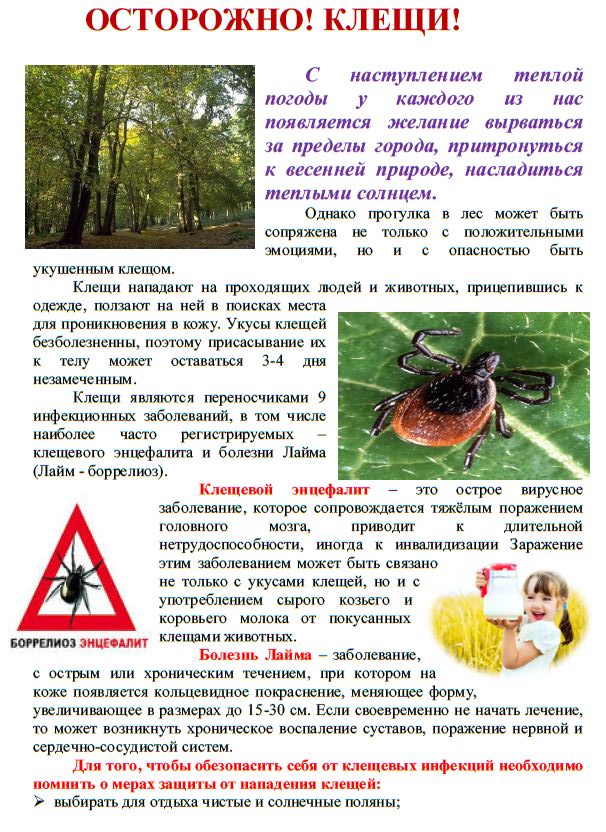 клещи.jpg