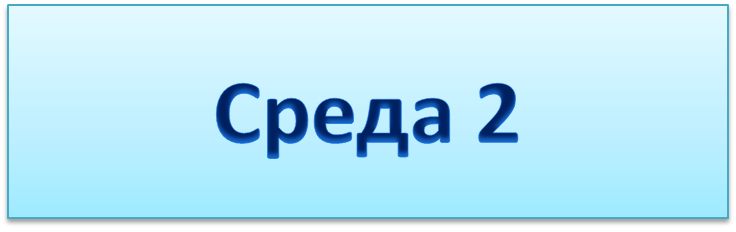 среда 2 фото.png