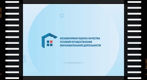 анимированный ролик ноко.jpeg