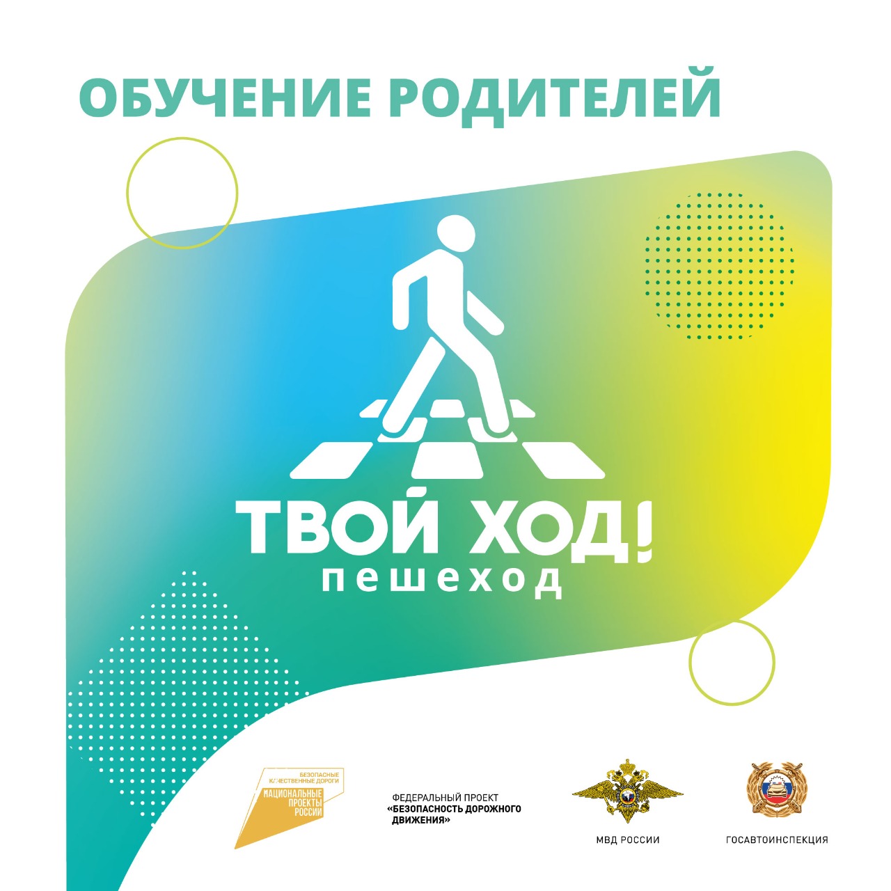 твой пешеход.jpg