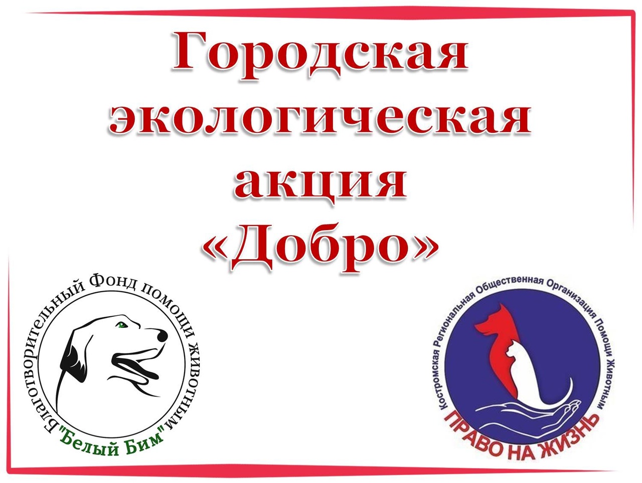 акция.jpg