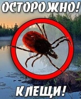 ropr.jpg