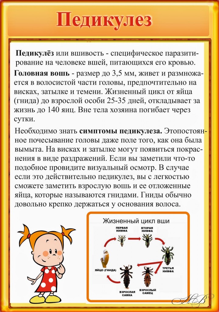 педикулез.jpg